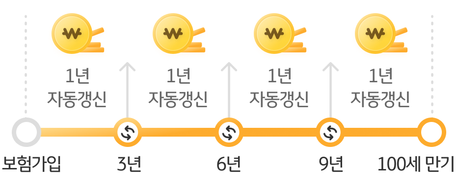 보험가입부터 3년까지 1년 자동갱신, 3년부터 6년까지 1년 자동갱신, 6년부터 9년까지 1년 자동갱신, 9년부터 100세 만기까지 1년 자동갱신